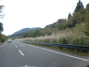 富士の裾野