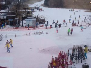 雪降ってきました！