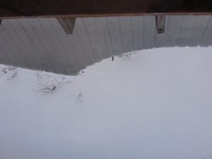 屋根雪1