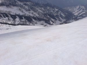 海老沢のルート開拓 海老沢のルート開拓