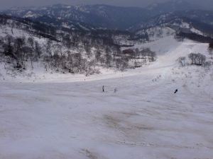 コブ１