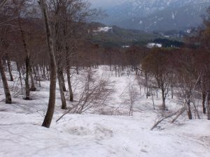 下山 下山