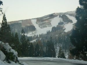 ウイング遠景