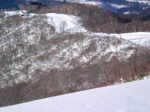 上部コース