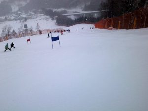 愛知県大会