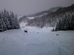 ポールセット状況