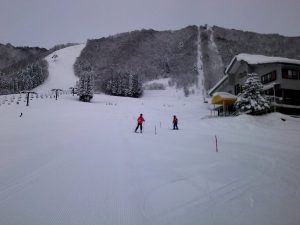 ショートポール