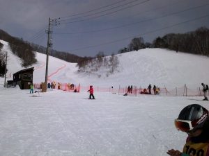 オール・トヨタ