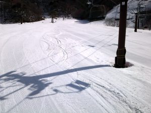 ゲレンデ状況