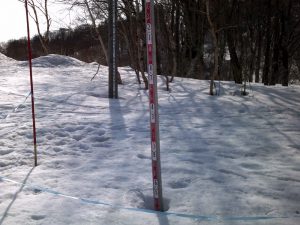 積雪確認