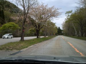 せせらぎ街道 せせらぎ街道