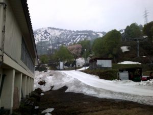ゲレンデ下部 ゲレンデ下部
