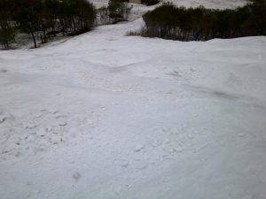 コブ斜面 コブ斜面