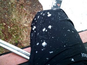 雪です！