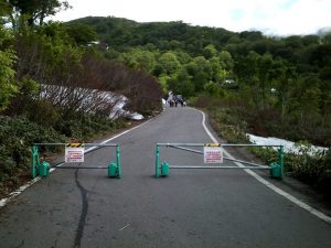 登山道・・雪無いです! 登山道・・雪無いです!