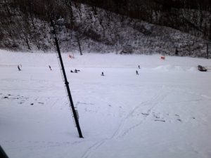 白いですが・・