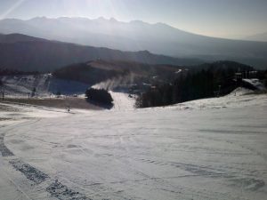 コース上部