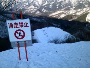 雪無いです