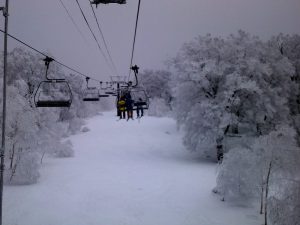 毛無山へ 毛無山へ