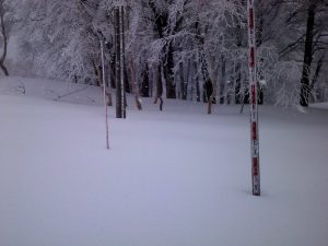 積雪測定場所 積雪測定場所