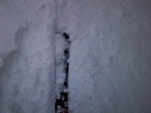 新雪 新雪