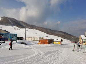 新雪狙い
