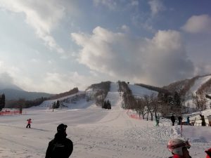 新雪! 新雪!