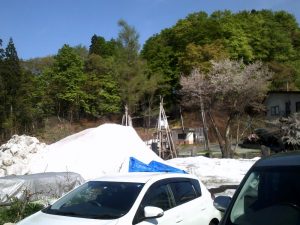 雪囲い