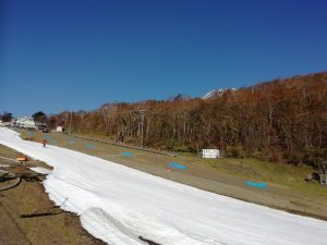 いつもながら・・ いつもながら・・
