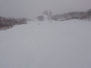 コース状況 コース状況