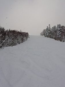 雪の状態２