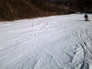 ショートポール