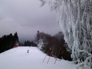 樹氷? 樹氷?
