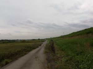 帰路 帰路