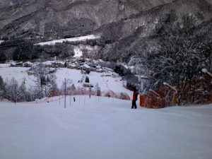 コース係員 コース係員