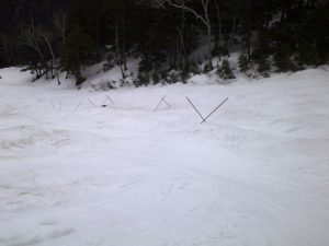 DSCF0056