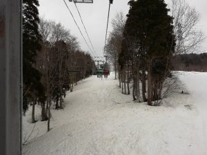 IMG_20230323_084420