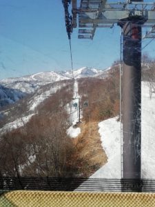 IMG_20230403_081845
