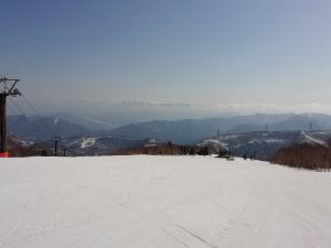 IMG_20230403_083937