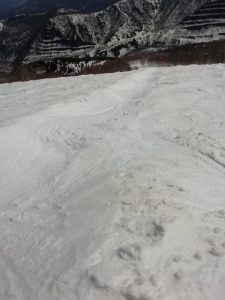 IMG_20230403_100455