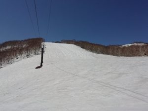 IMG_20230403_102830