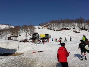 IMG_20230404_081929