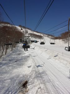 IMG_20230404_083818