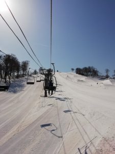 IMG_20230404_084846