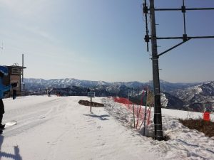 IMG_20230404_085207