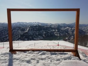 IMG_20230404_085337