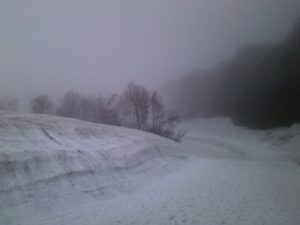 DSCF0002