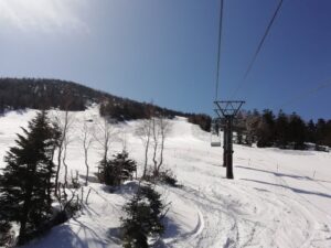 IMG_20230410_085912