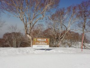 IMG_20230413_083641