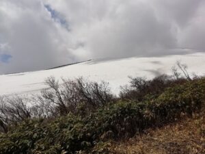 IMG_20230516_130521